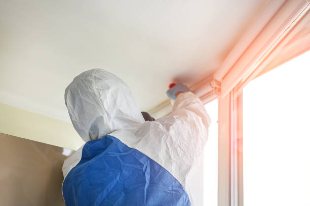 Best Mold Remediation for Healthcare Facilities  in Harrington Park, NJ