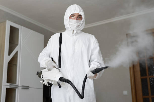 Why You Should Choose Our Mold Remediation Services in Harrington Park, NJ